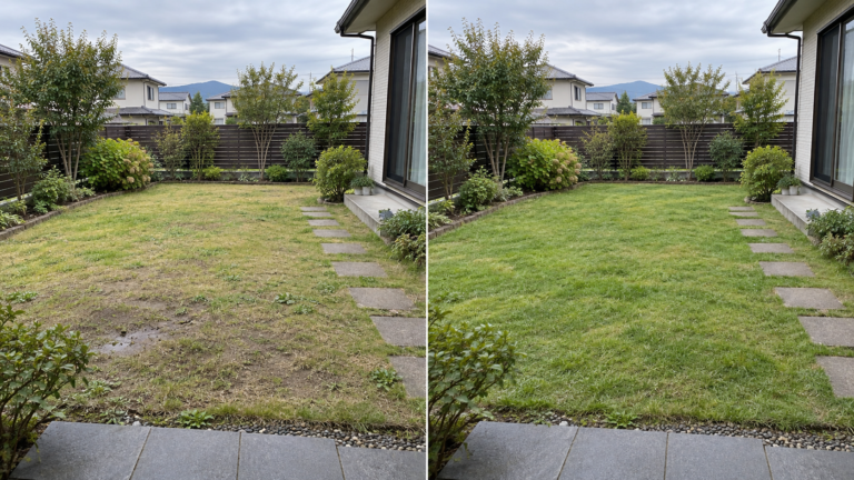 藤岡市で夏のあとに芝生の色むら・薄れが気になるとき｜秋に確認したい4つのポイント